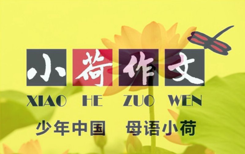 阜新博娅特培训学校的成功秘诀是什么？